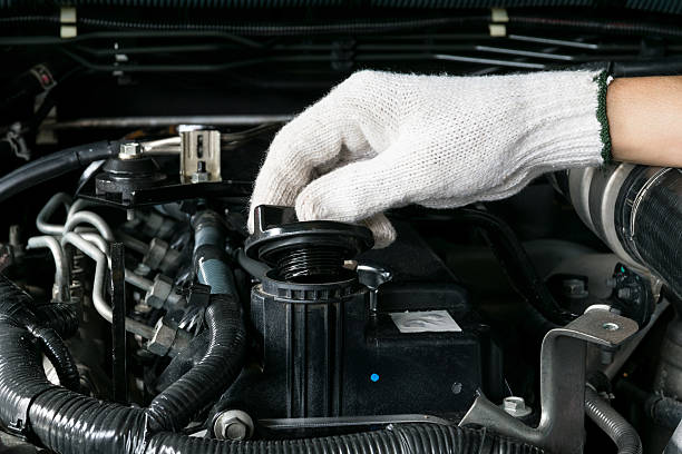 Diesel Particulate Filters